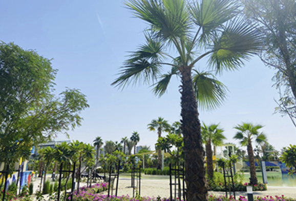 swimming-pool-design-dubai